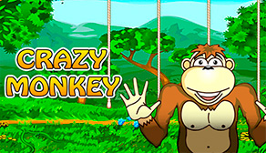 IGS CRAZY MONKEY